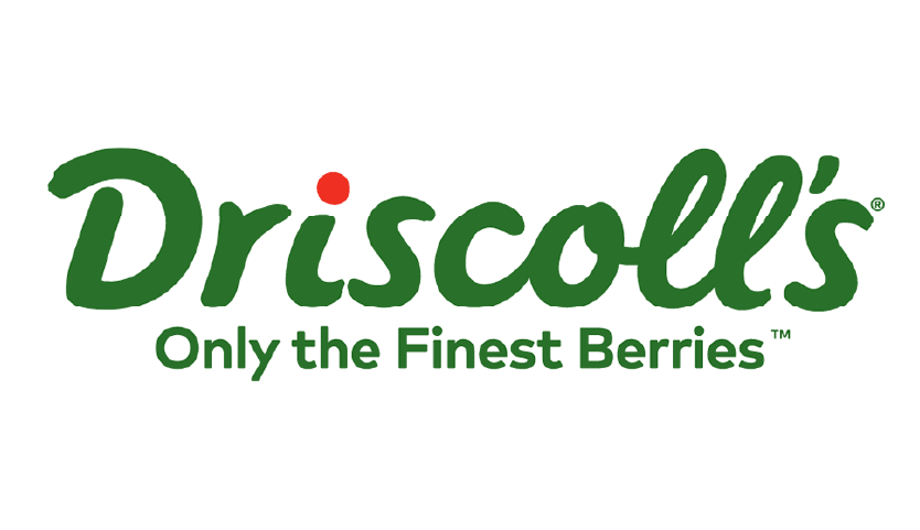 driscolllogo_Mesa de trabajo 1